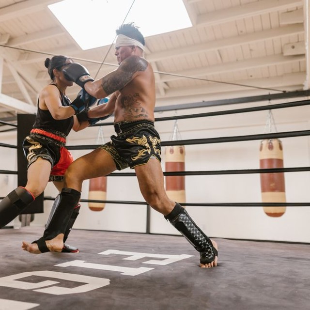 Boxer training in the ring