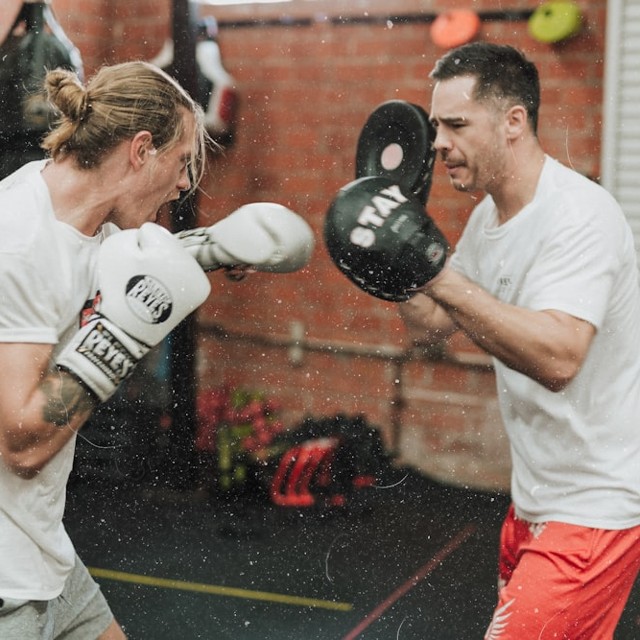 Boxer with gloves in the ring